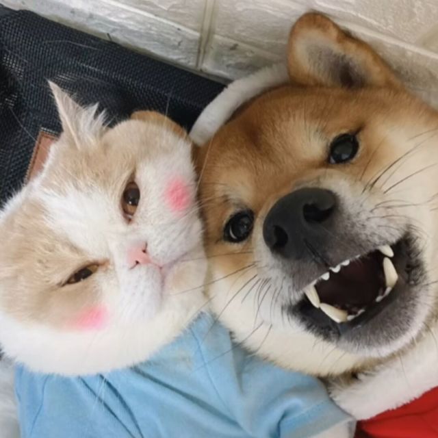 玩家头像